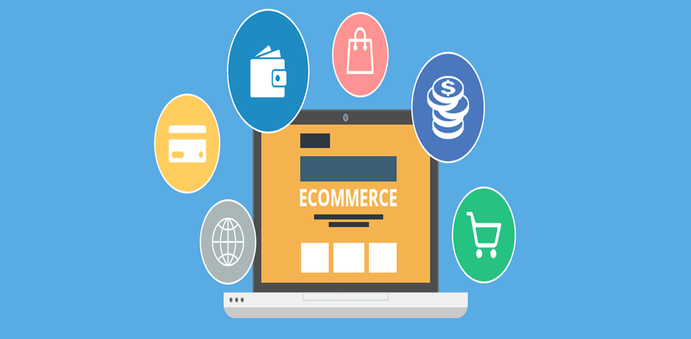 #1 website developing agency